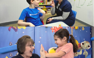 BCBA: Working for Franchise Based Clinics VS Corporate Owned Clinics