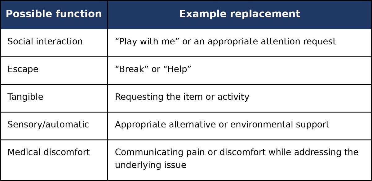 Once You Understand the Function, Teach a Replacement